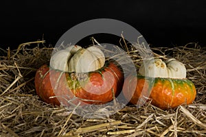 Pumpkins and a jute bag in straw on a black background