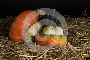 Pumpkins and a jute bag in straw on a black background