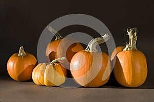 Pumpkins in late afternoon sunlight