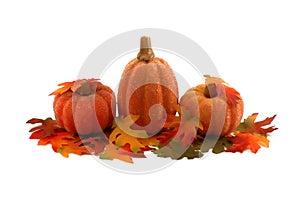 Pumpkins and leafs - Thanksgiving decoration