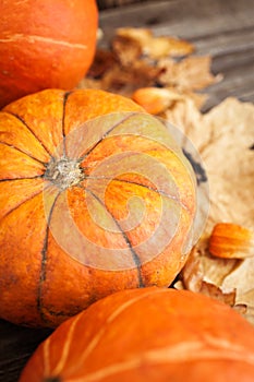 Pumpkins, leaves and berries on old wooden table