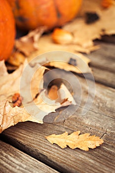 Pumpkins, leaves and berries on old wooden table