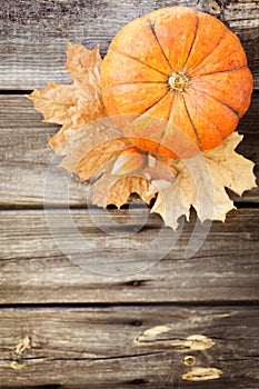 Pumpkins, leaves and berries on old wooden table