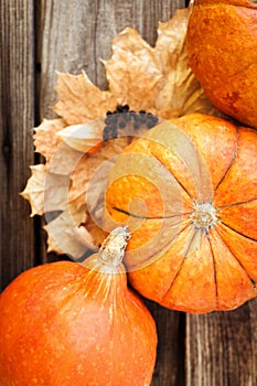 Pumpkins, leaves and berries on old wooden table