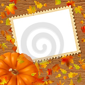 Pumpkins and leaves on frame.