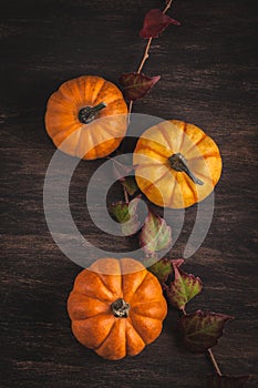 Pumpkins and leaves over wooden background copy space. Template