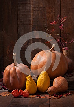 pumpkins, leaves and physalis
