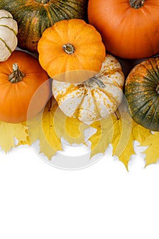 Pumpkins and leaves on white