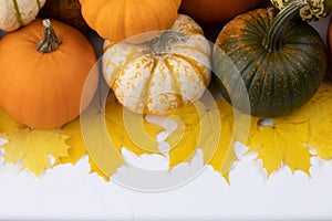 Pumpkins and leaves on white