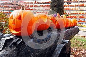 Pumpkins line the top of a cannon
