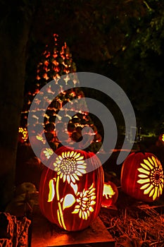 Pumpkins lite up for a festival in the Ozarks of Missouri, USA