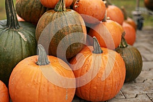 Pumpkins