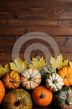 Pumpkins and maple leaves
