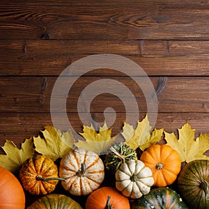 Pumpkins and maple leaves