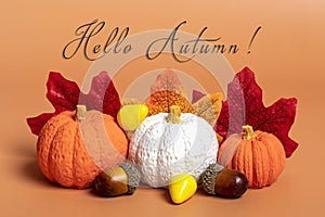 pumpkins, maple leaves, acorns and berries on orange background Fall season Hello September, october, November concept