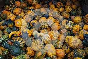 Pumpkins on a Market