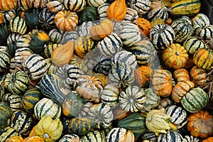 Pumpkins on a Market