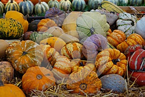 Pumpkins on a Market