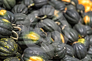 pumpkins on a market in autumn