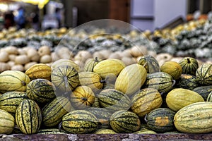 pumpkins on a market in autumn