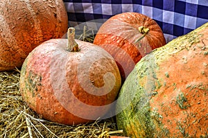 pumpkins on a market in autumn