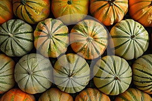 Pumpkins in the market, close-up, top view. Generative AI