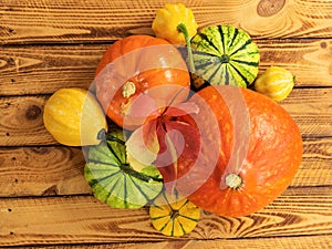 Pumpkins. Multicolored decorative pumpkins over wooden background