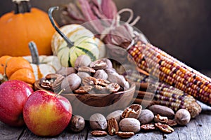 Pumpkins, nuts, indian corn and apples