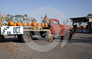 Pumpkins on Old Farm Truck