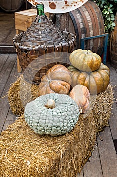 Pumpkins and other autumn vegetables