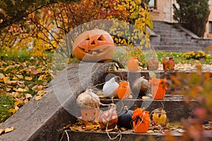 Pumpkins and other decor items for Halloween