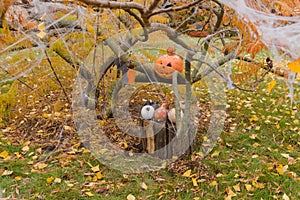 Pumpkins and other decor items for Halloween