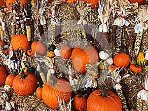 Pumpkins at outdoor Famer market photo