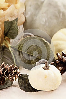 Pumpkins and Pine Cones