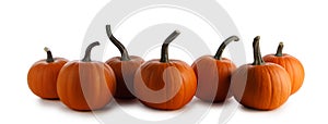 Pumpkins in a row isolated on white