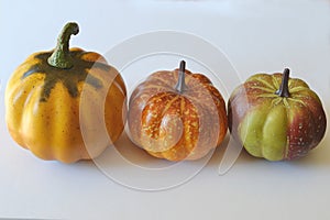 pumpkins in a row, on white background