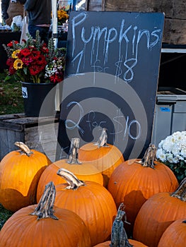 Pumpkins for sale