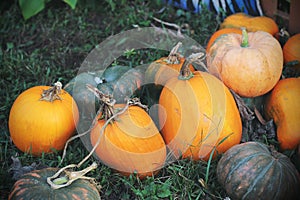 Pumpkins for sale. American farm and barns at autumn in Illinois.