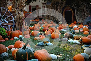 Pumpkins for sale. American farm and barns at autumn in Illinois.