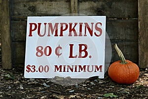 Pumpkins For Sale Pumpkins at Pumpkin Time in New England