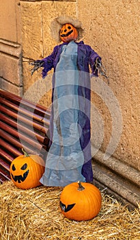 Pumpkins and scarecrow in Barcelona