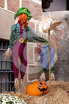 Pumpkins and scarecrow in Barcelona