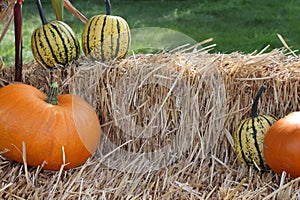 Pumpkins set on bales of straw hay