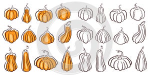 Pumpkins set black and white icons. Halloween collection. Vector illustration isolated on a white background.