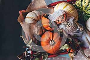 Pumpkins and skeleton pumpkin bride