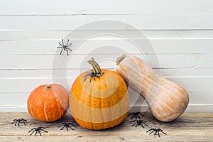 Pumpkins with spider on a background of white boards. Space for