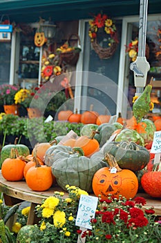 Pumpkins and squash are for sale