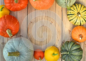 Pumpkins and squashes frame