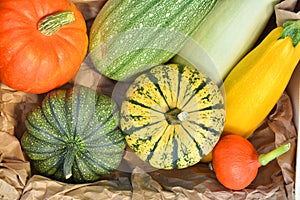 Pumpkins and squashes harvest