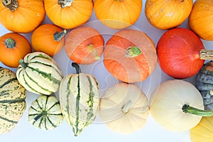 Pumpkins and squashes varieties